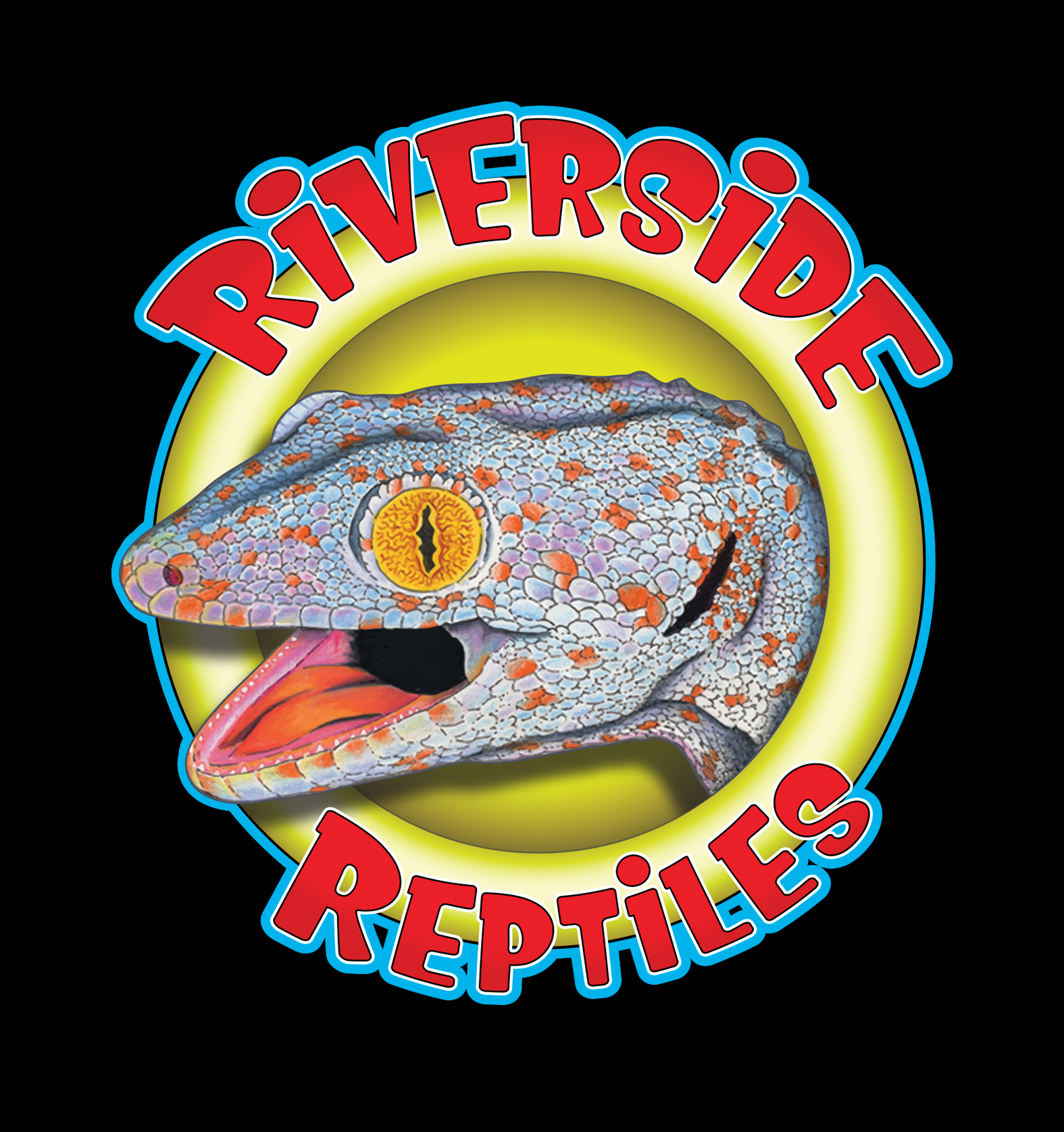 Riverside Reptiles Education Center Visit CT